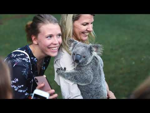 Image for University of the Sunshine Coast (UniSC) - Sunshine Coast