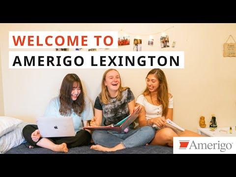 Image for Lexington Catholic High School (Amerigo Education)