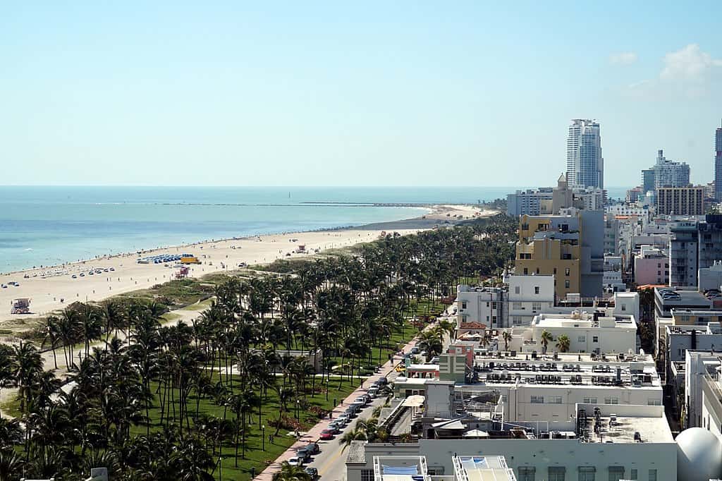 Landscape: beach and Atlantic Ocean, park space with palm trees, urban mix with lowrises and skyscrapers (Miami, FL)