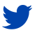 Twitter Icon