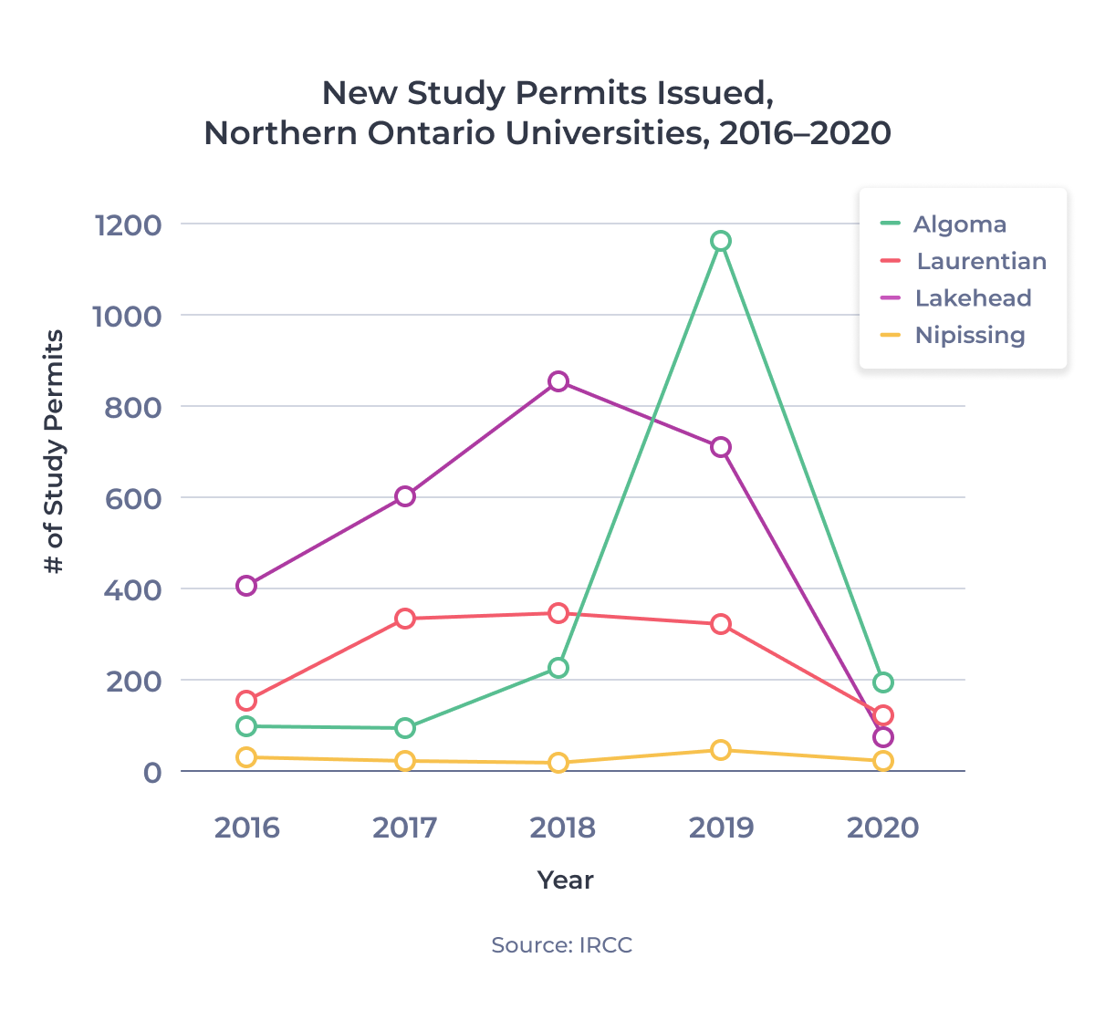 Line chart showing new study permits issued for Northern Ontario universities between 2016 and 2020. Examined in detail below.