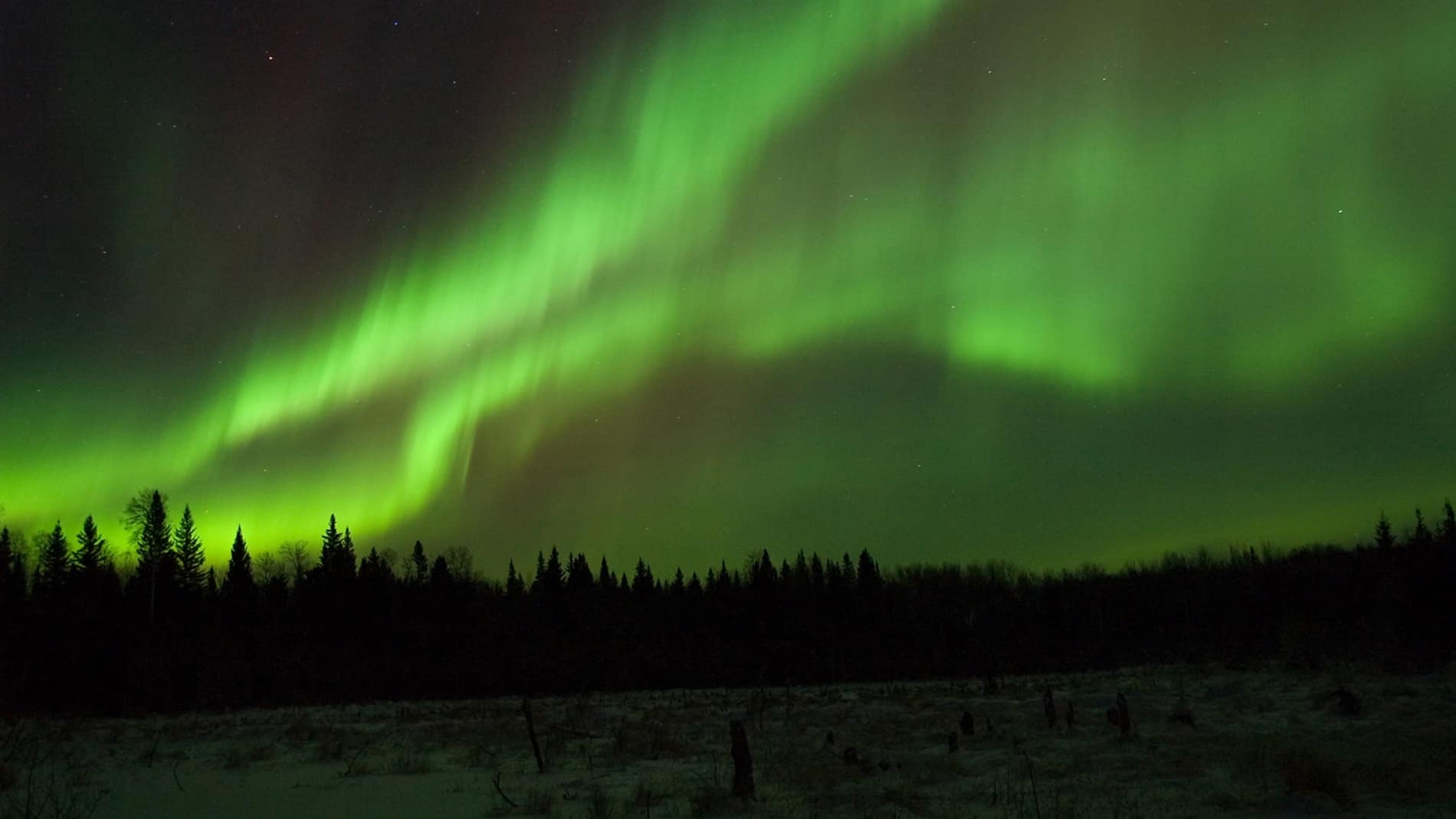Photograph of Saskatchewan's living sky