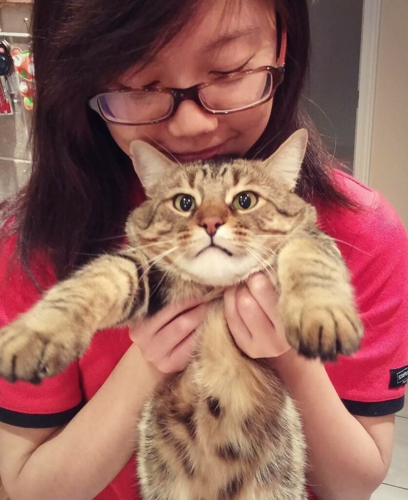 Photo of Heather and her tabby cat, Buddy