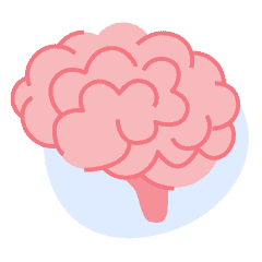 An illustration of a brain.