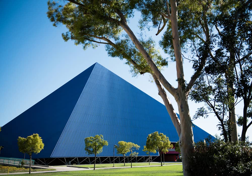 A photo of California State University's campus.