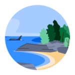 An illustrated coastline with smooth yellow sand, grey rocks, and evergreen trees. A whale back and fin is visible in the water offshore.