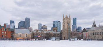 A snowy landscape, with university and downtown office buildings on the horizon. (Toronto in winter)