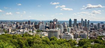 An elevated view of the Montreal skyline: forest in the foreground, tall office buildings, with water behind them and a bright blue sky.